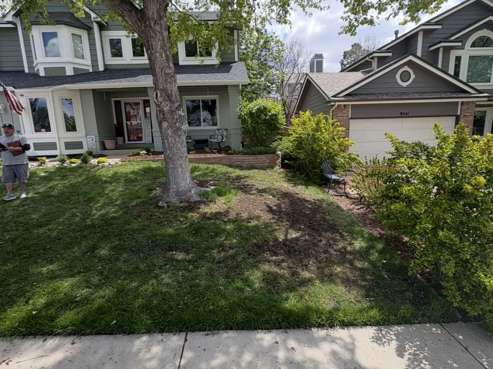 Before: patchy grass and bare ground under the front-yard tree