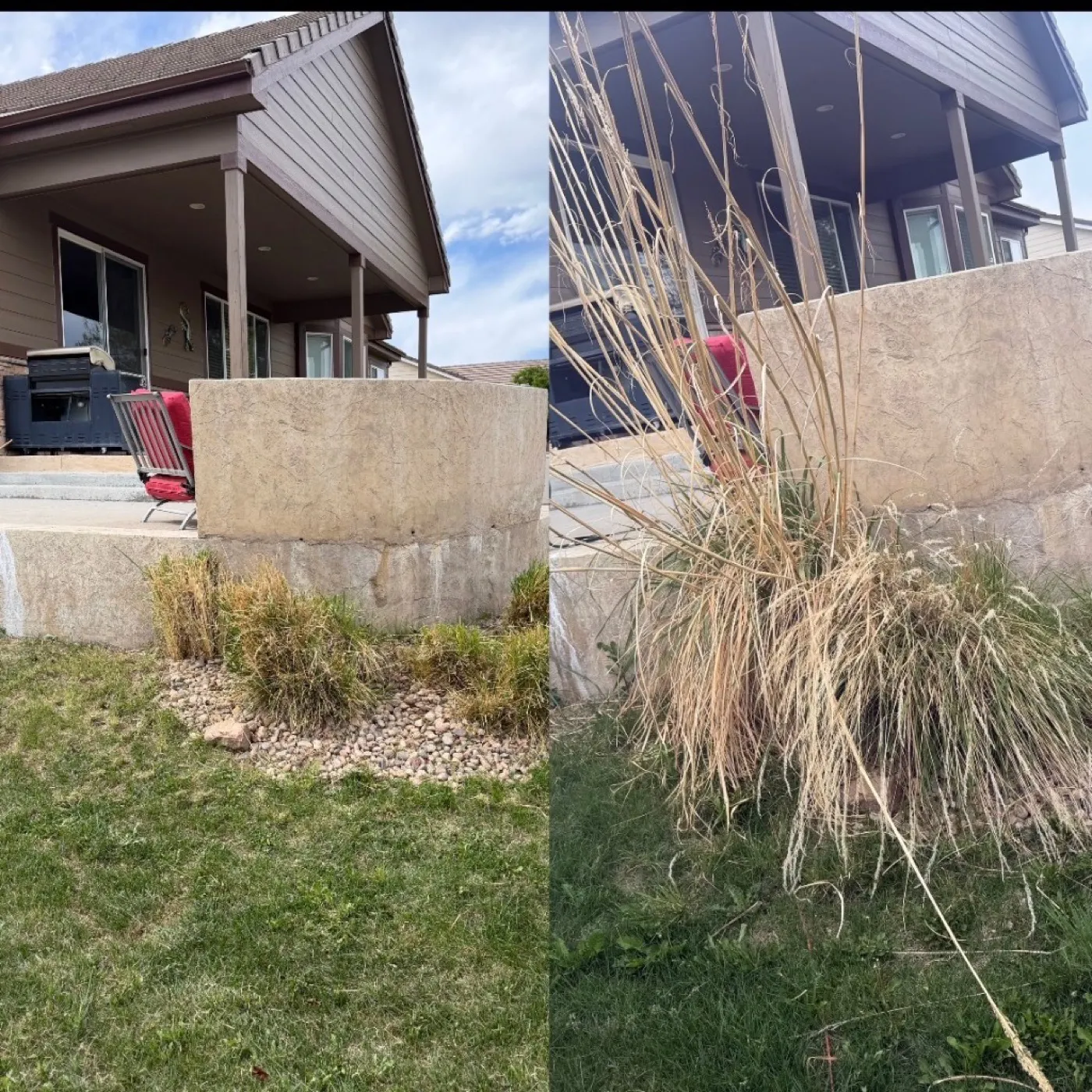 Bush & Tree Trimming job in the Littleton and Highlands Ranch area