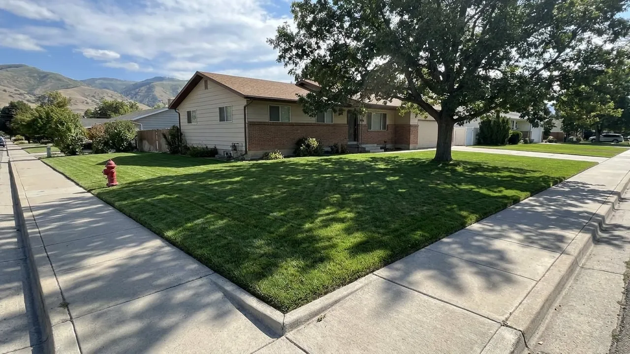 Corner-lot lawn kept sharp all season