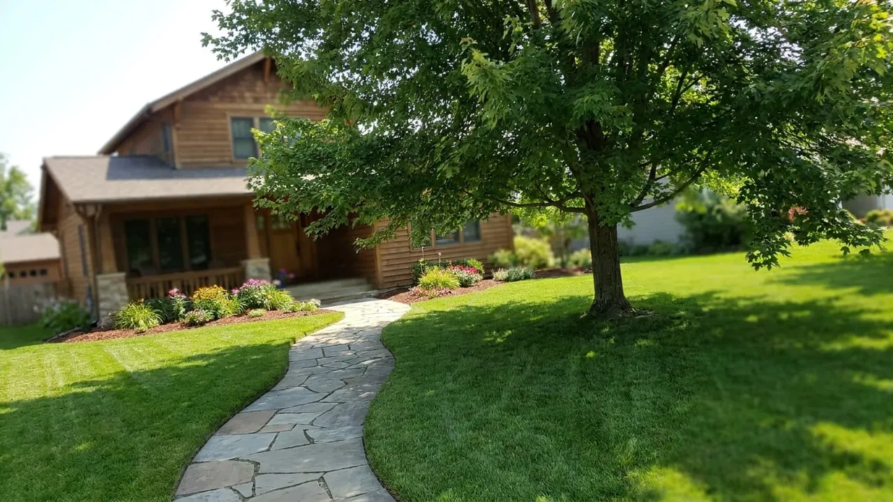 Healthy lawn with crisp bed and walkway edging